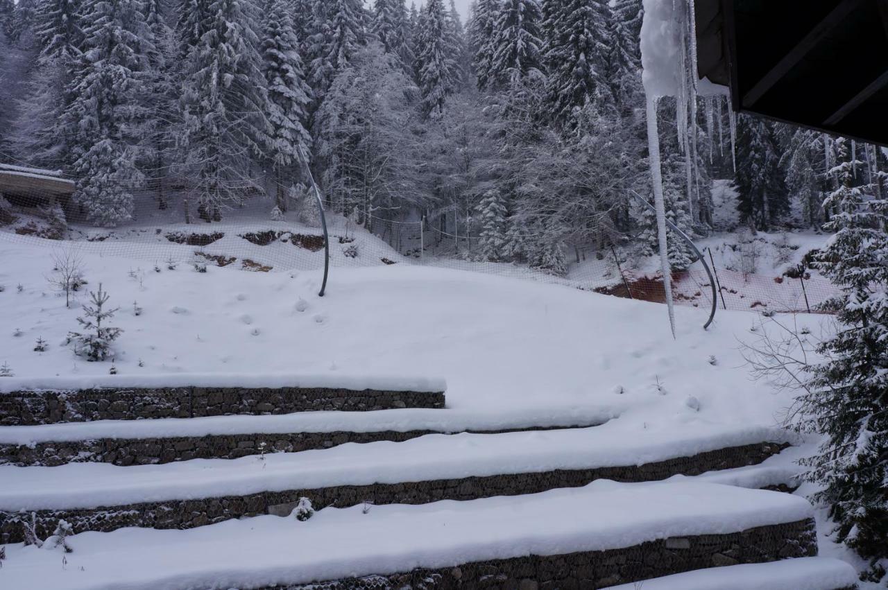 Grand Monastery Apart-Hotel Pamporovo Kültér fotó